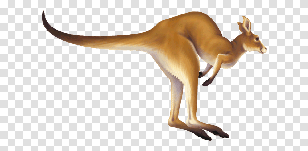 Zoo Tycoon Matschie Tree Kangaroo Animal Figure, Mammal, Wildlife, Antelope, Giraffe Transparent Png