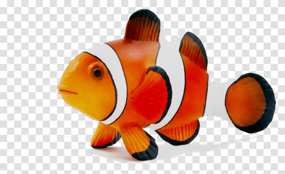 Zoomagazin Dog Illustration Cat Simba Bird Clipart Coral Reef Fish Transparent Png