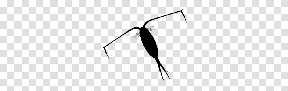 Zooplankton Cliparts, Gray, World Of Warcraft Transparent Png