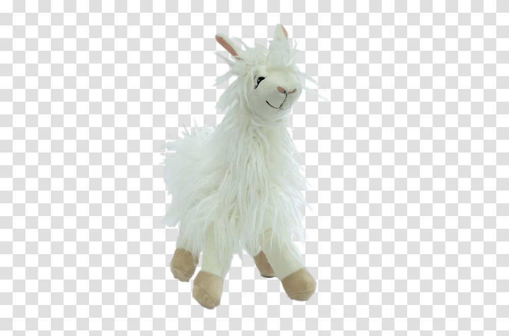 Zootique Woolly Llama White Royer's Flowers And Gifts Llama Stuffed Animal, Chicken, Poultry, Fowl, Bird Transparent Png
