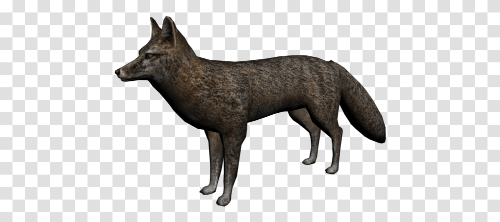 Zorro Red Dead Redemption, Mammal, Animal, Pet, Cat Transparent Png