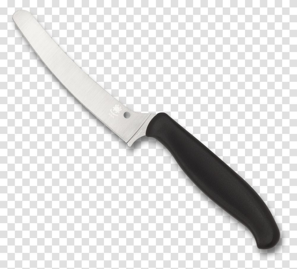 Zt, Weapon, Weaponry, Blade, Knife Transparent Png