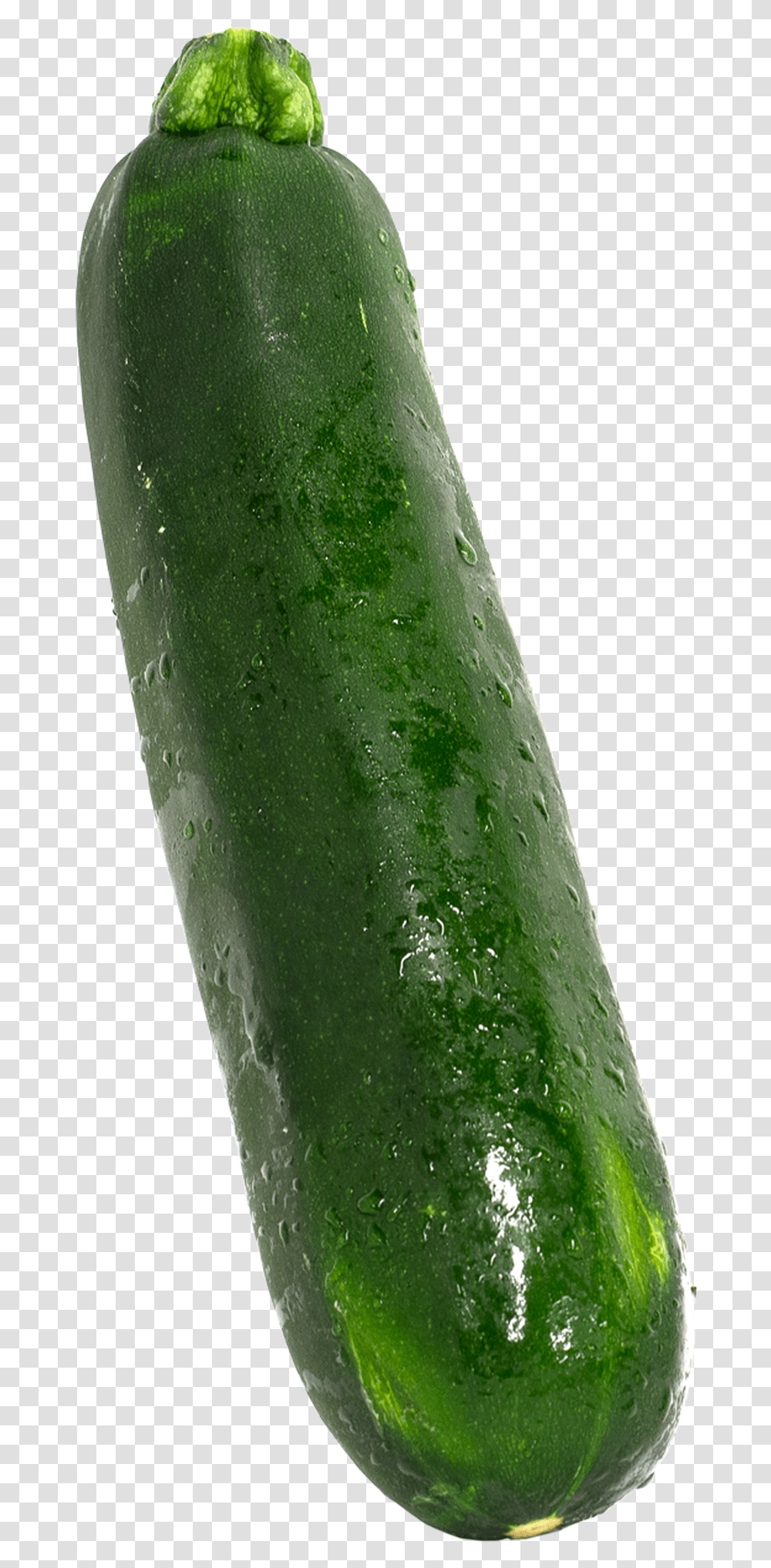 Zucchini 1 Lb Cucumber, Vegetable, Plant, Food Transparent Png