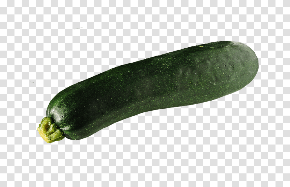 Zucchini 960, Vegetable, Plant, Squash, Produce Transparent Png