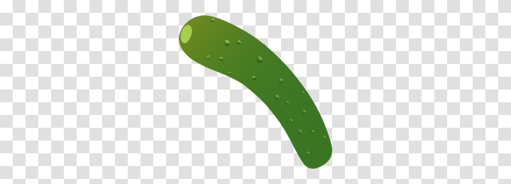 Zucchini Clip Art, Cucumber, Vegetable, Plant, Food Transparent Png