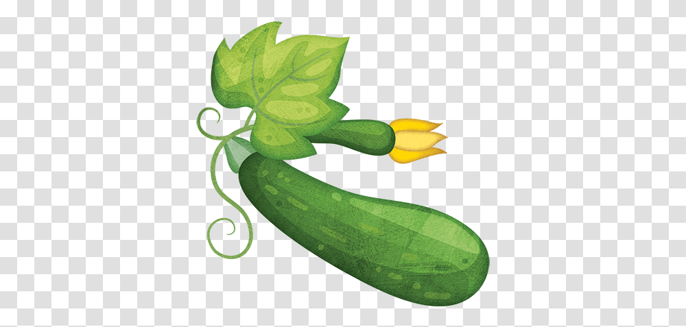 Zucchini Clipart Zucchini Clipart, Plant, Vegetable, Food, Cucumber Transparent Png