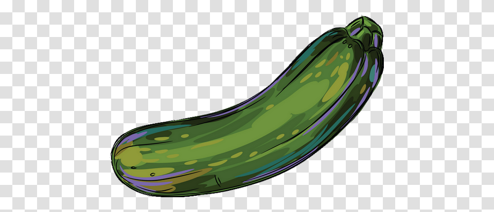 Zucchini, Cucumber, Vegetable, Plant, Food Transparent Png