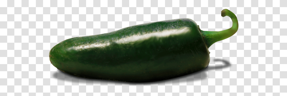 Zucchini, Cucumber, Vegetable, Plant, Food Transparent Png