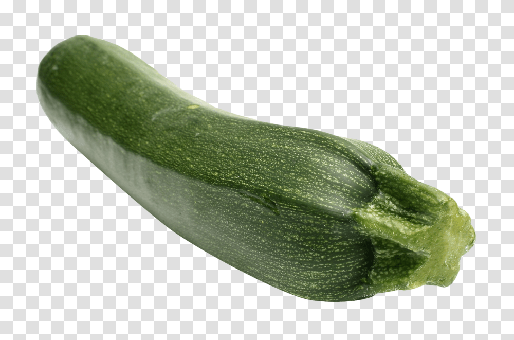 Zucchini Image, Vegetable, Plant, Squash, Produce Transparent Png