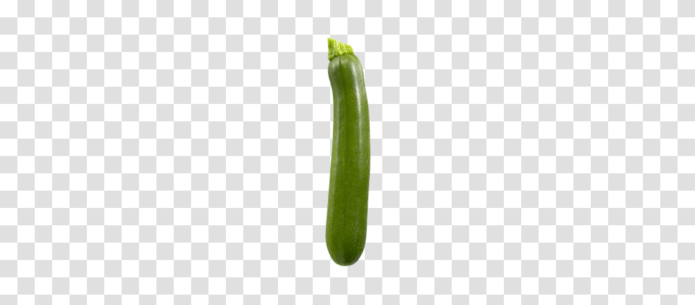 Zucchini, Plant, Cucumber, Vegetable, Food Transparent Png