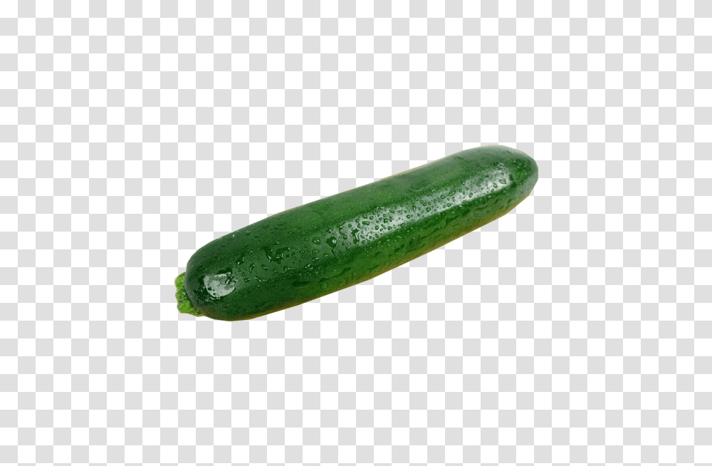 Zucchini, Plant, Cucumber, Vegetable, Food Transparent Png