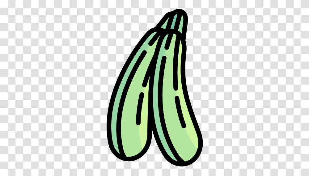 Zucchini, Plant, Food, Fruit, Vegetable Transparent Png