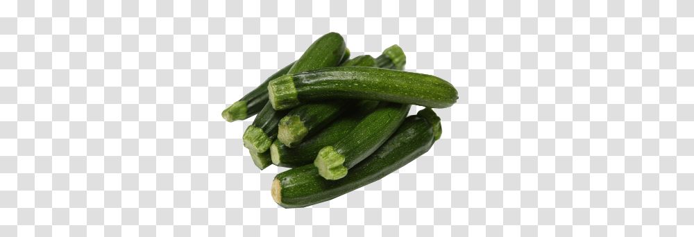 Zucchini, Plant, Food, Produce, Vegetable Transparent Png