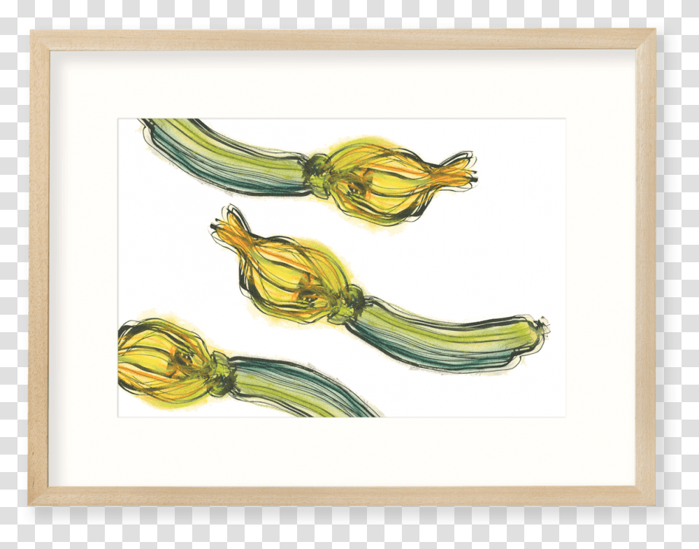 Zucchini Zucchini, Plant, Bird, Animal, Art Transparent Png