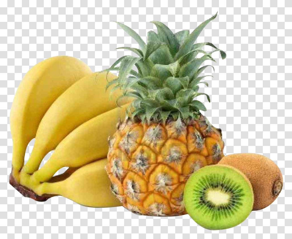 Zululand Queen Pineapple, Plant, Fruit, Food, Banana Transparent Png